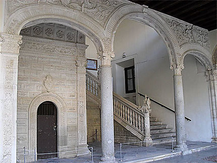 Museo de Santa Cruz : escalier