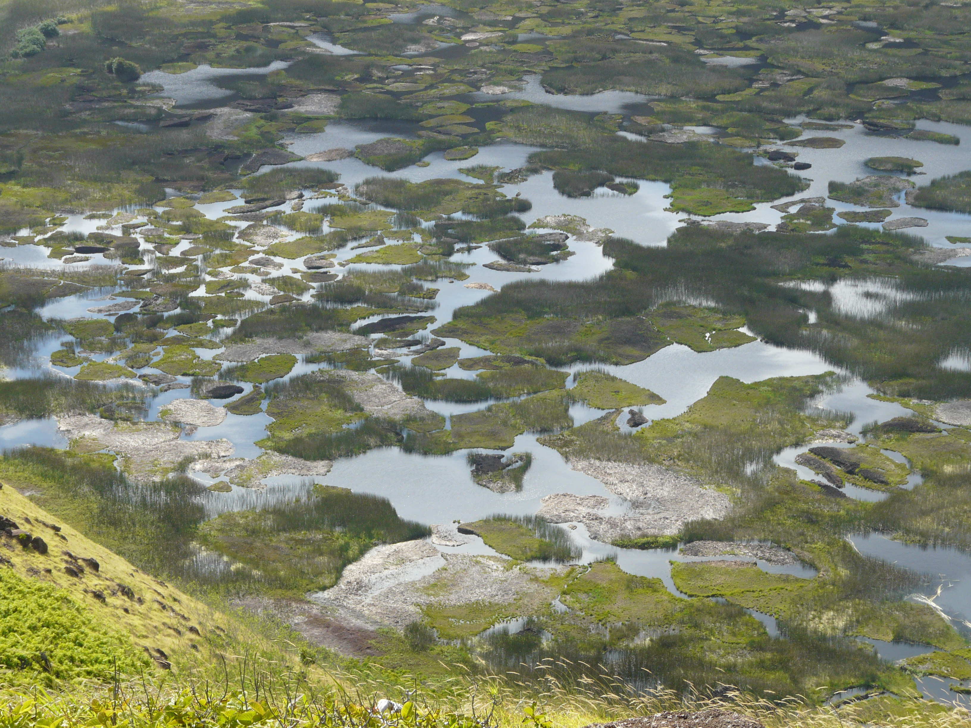 îles de roseaux îles de roseaux