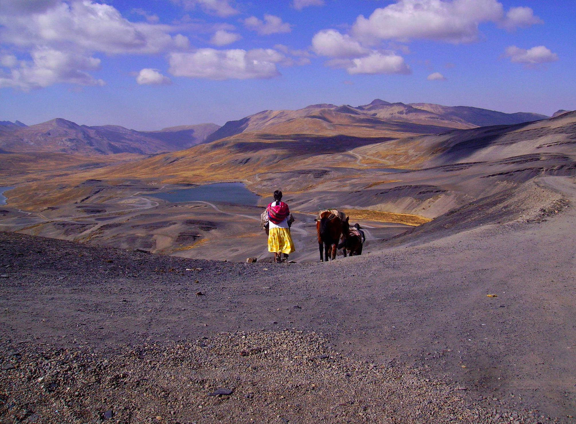 Sur les hauteurs de l'altiplano bolivien