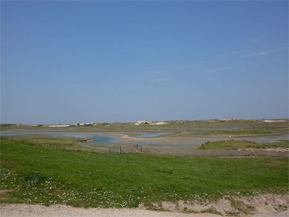 Plaine du zwin