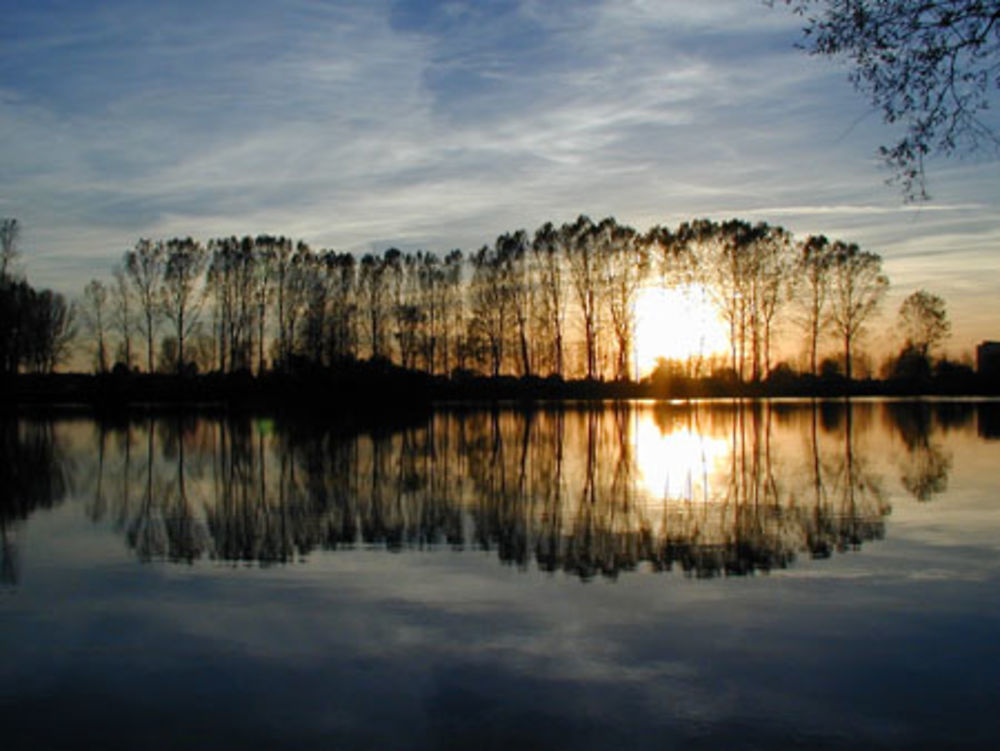 Crépuscule sur l’étang