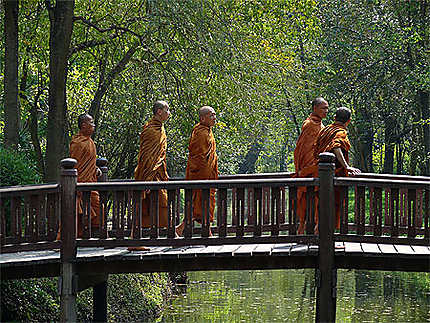 Des moines 