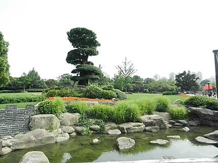 Jardin à Shanghai