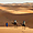 Balade dans les dunes de Merzouga au Maroc