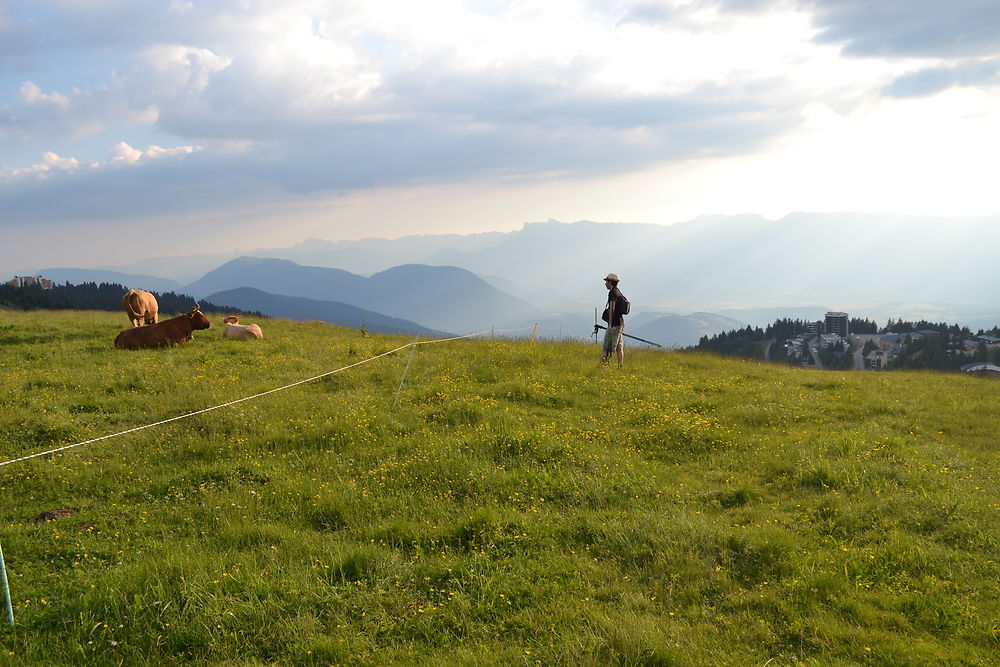 Vue sur le Vercors depuis Chamrousse