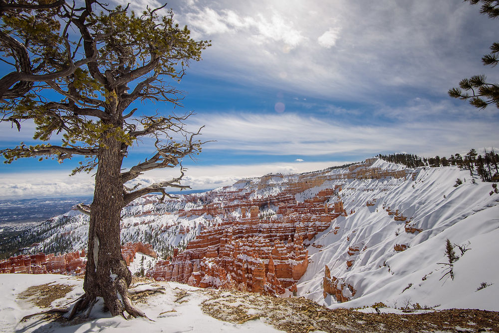 Bryce Canyon Rim, Utah