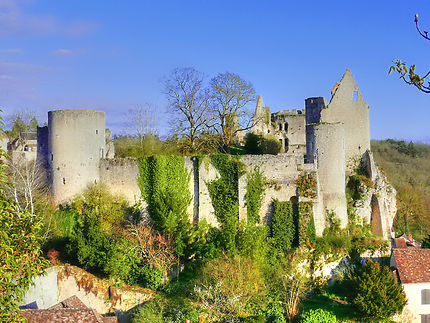 Ruines du Château d'Angles-sur-l'Anglin