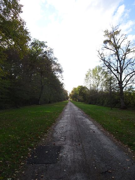 Au bout du chemin Pagode de Chanteloup