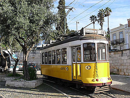 Antique tram n°15
