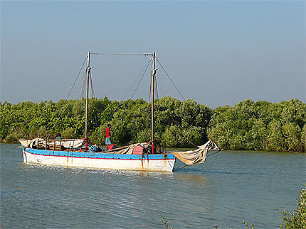Bateau naviguant au coeur de la mangrove