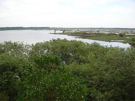 Etang de Cousseau Etang de Cousseau