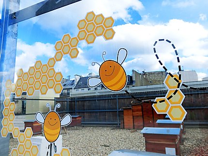 Les ruches sur l'esplanade Jean Tossan