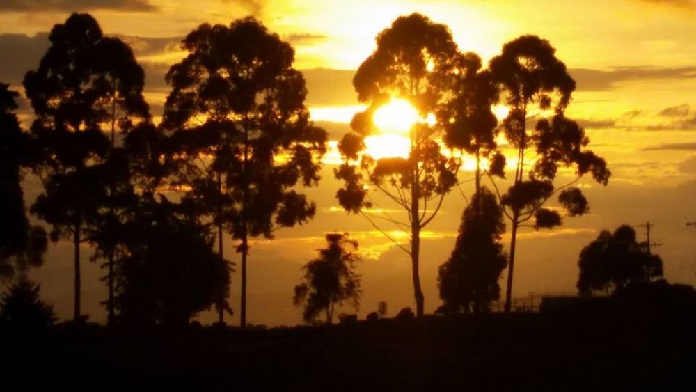 Atardecer Salento - Quindio- Colombia