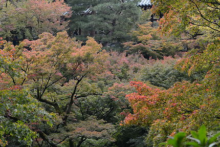 Temple Tofuku-Ji à Kyoto