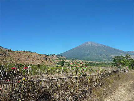 Le Gunung Rinjani depuis Sembalun