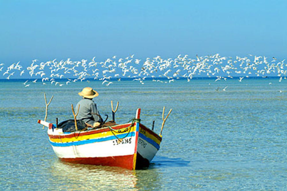 Retour de pêche à Djerba