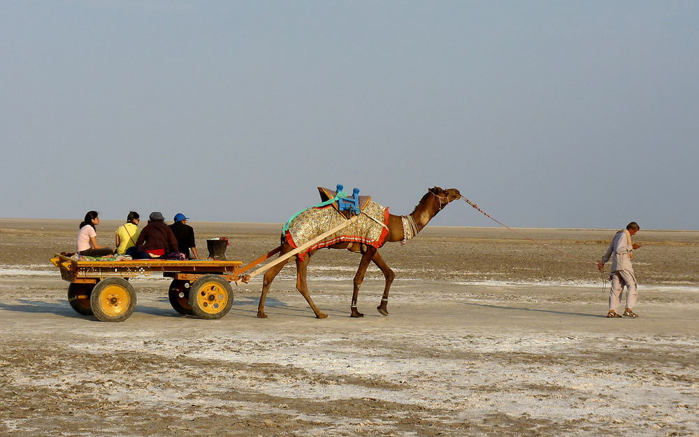 La ballade des touristes