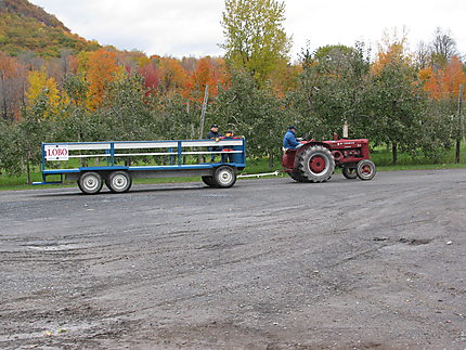 Transport des cueilleurs de pommes