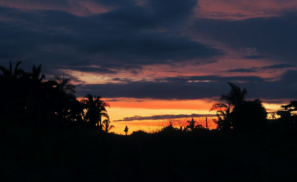 Coucher de Soleil en pleine jungle 