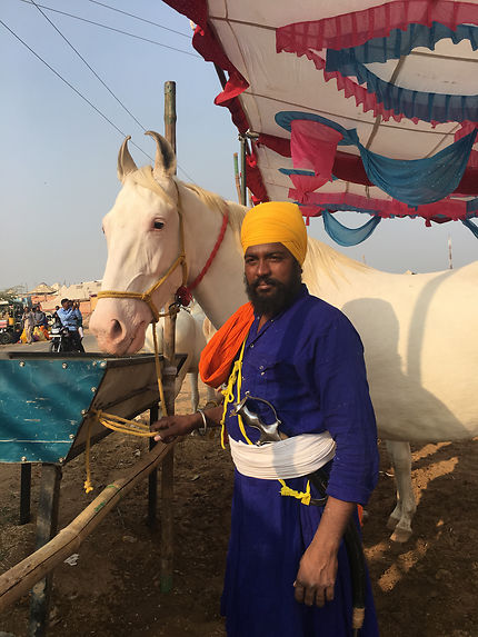 Foire aux chevaux et aux chameaux de Pushkar 