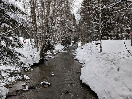 Rivière glacée