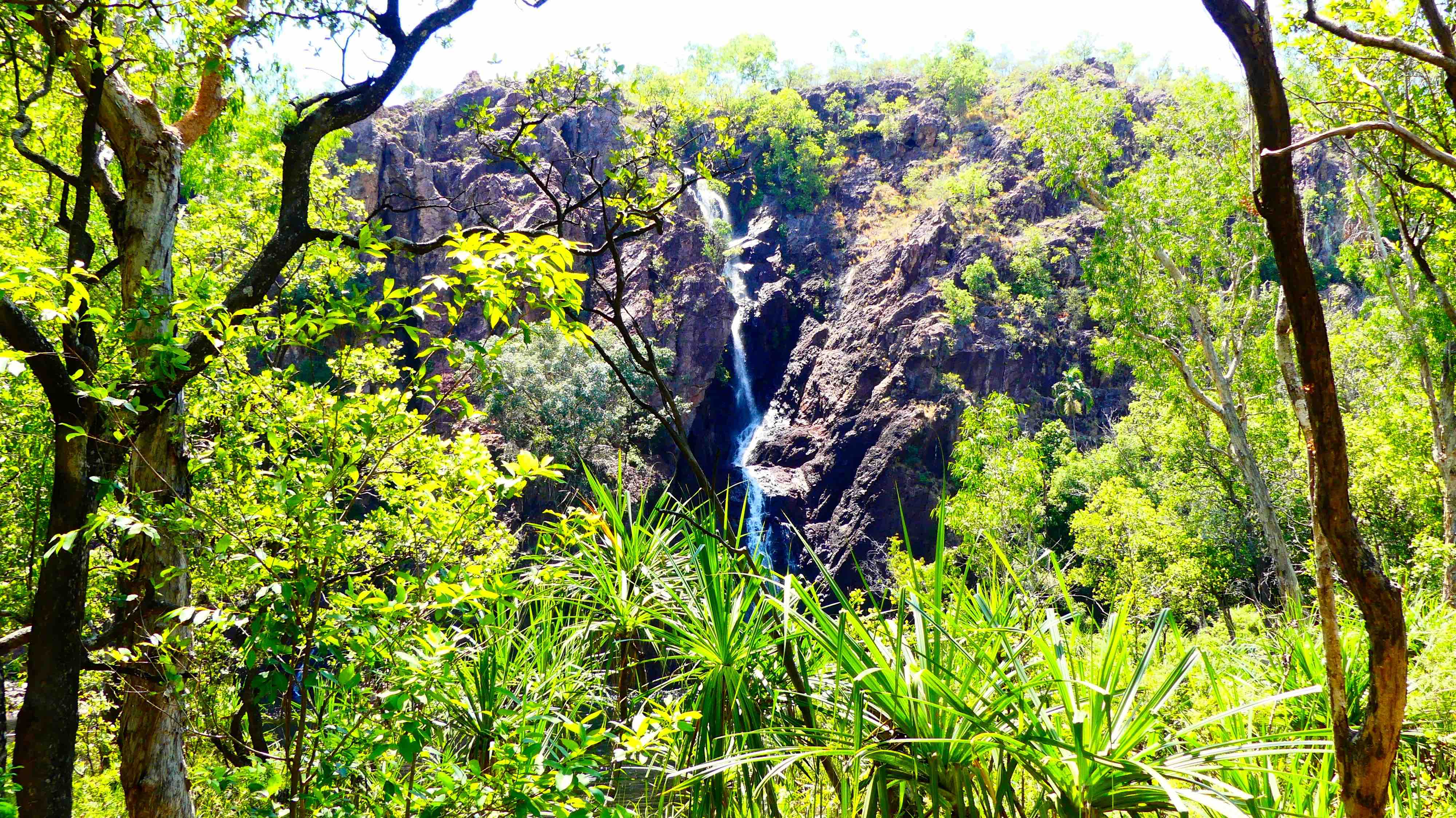 Wangi Falls Wangi Falls