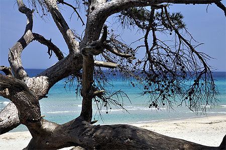 Plage de Saleccia Plage de Saleccia