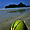 Coconut sur la plage
