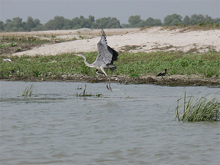 Delta du Danube Delta du Danube