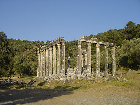 Temple de Zeus Temple de Zeus