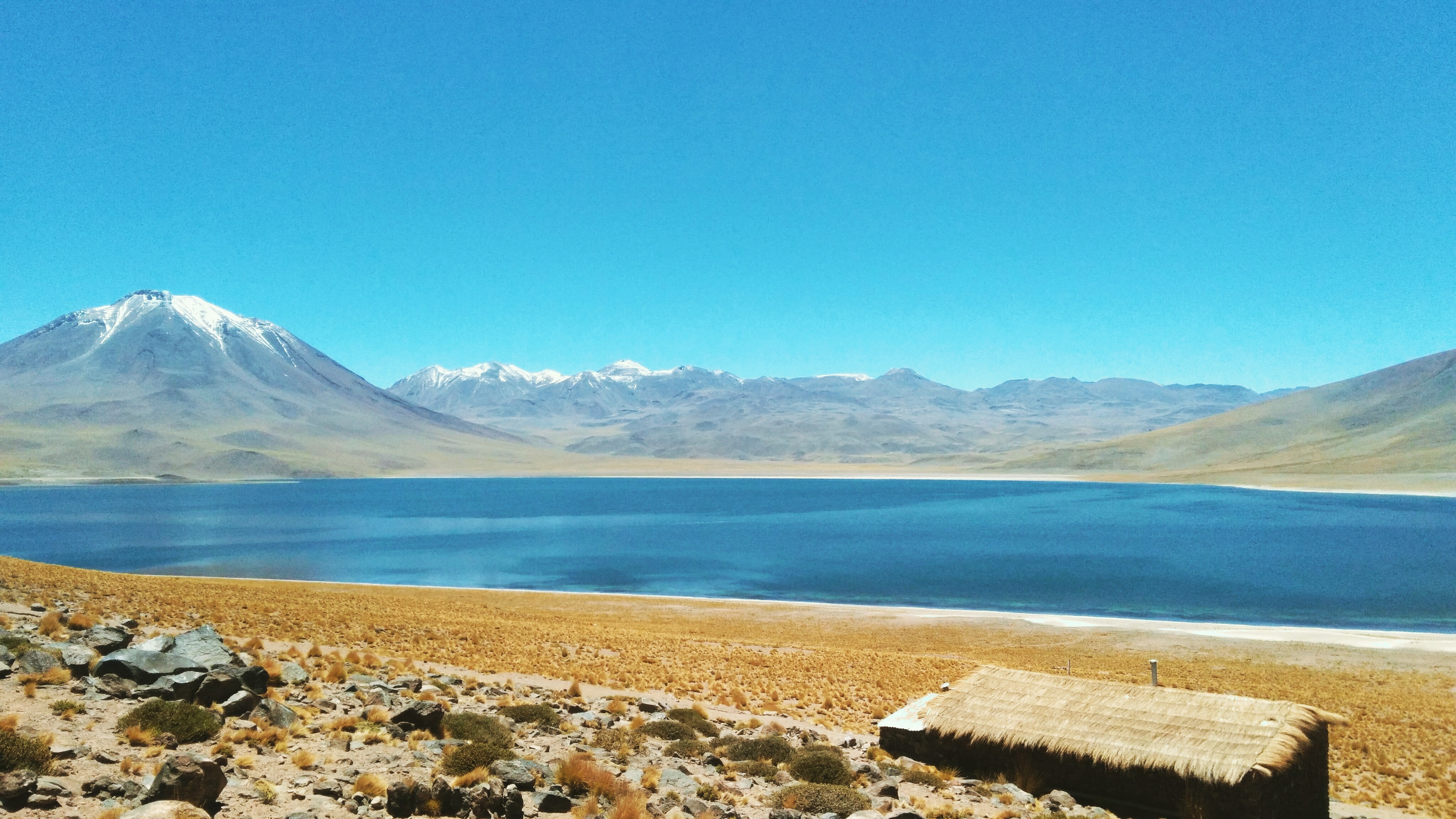 Laguna Miscanti Laguna Miscanti