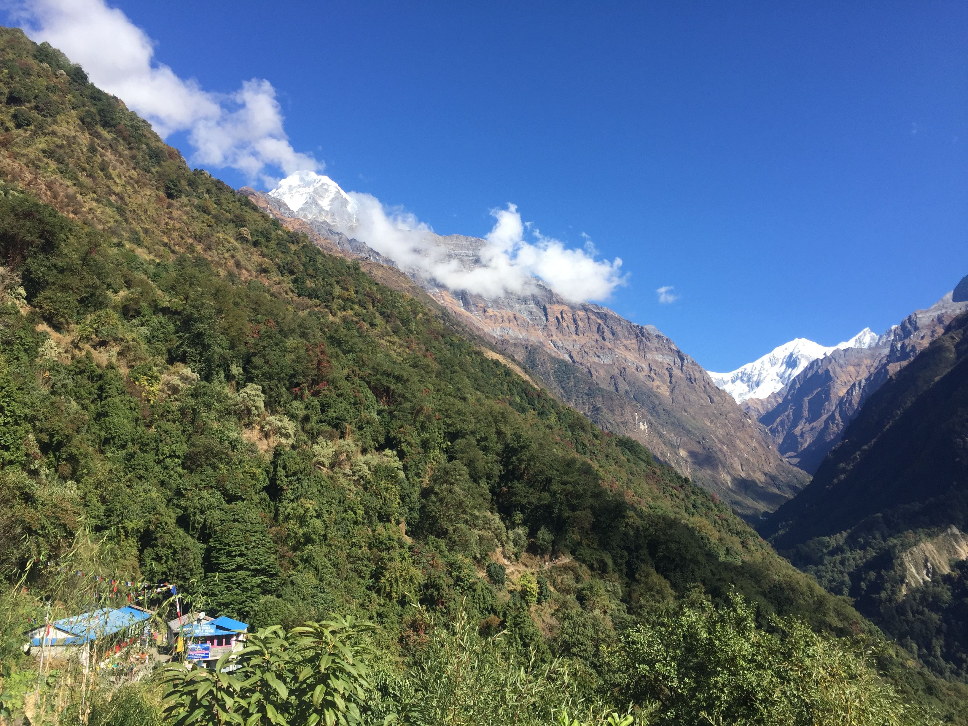 Trek du Sanctuaire de l'Annapurna / Chhamrong