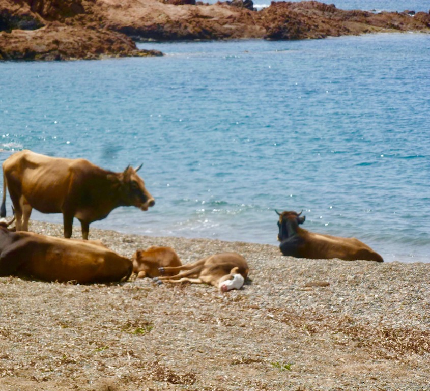 Détente au bord de l'eau