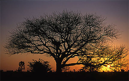 Crépuscule africain