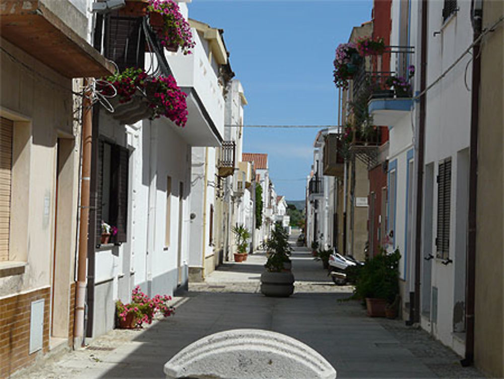 Maisons blanches de Calasetta