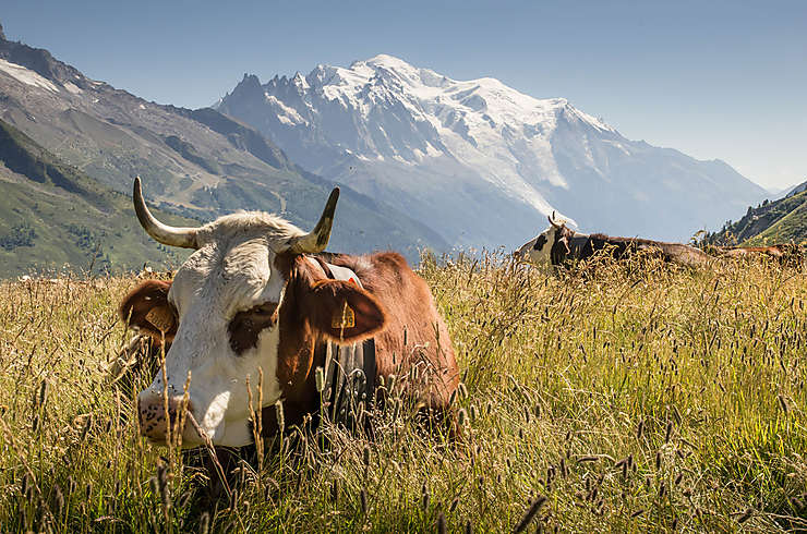 Le massif du Mont-Blanc (Haute-Savoie)