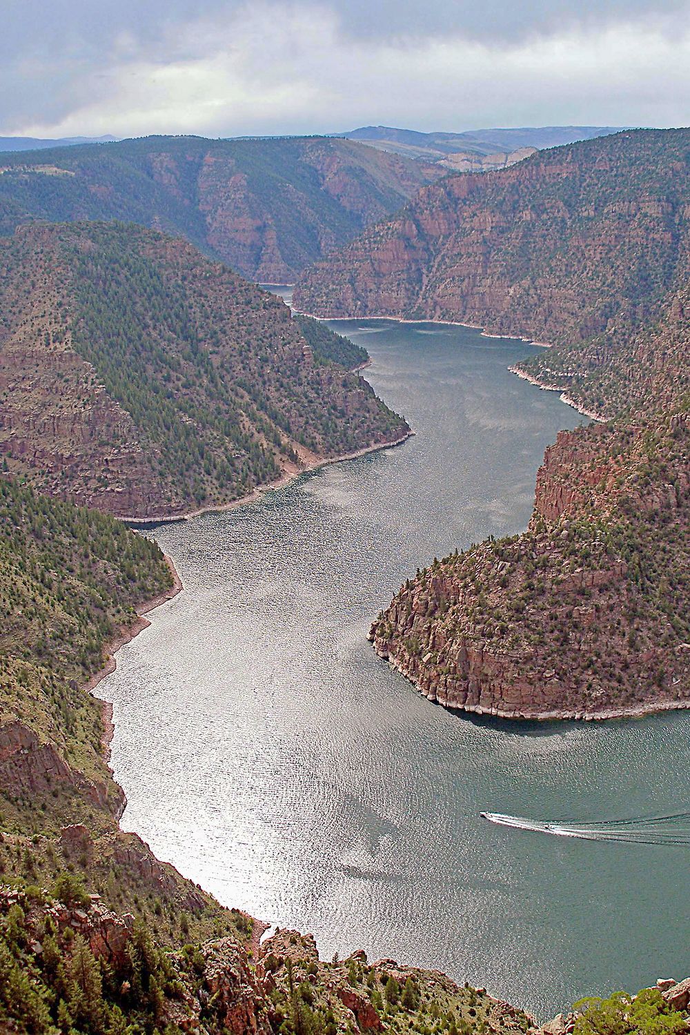 Red Canyon Ashley National Forest