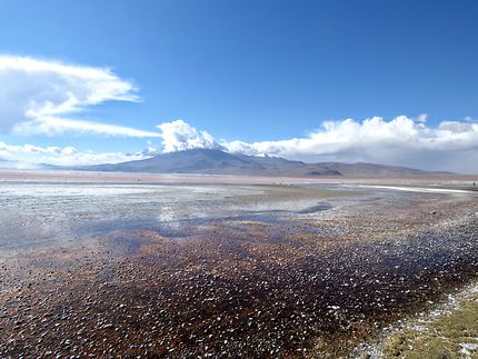 La Laguna Colorada 