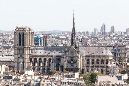 Notre-Dame et les toits de Paris