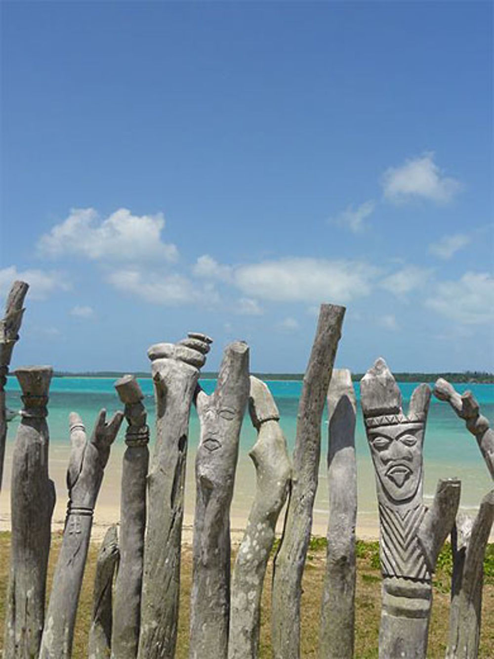 Totems de différentes tribus