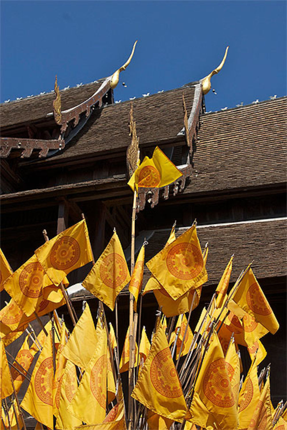 Temple Phan Tao