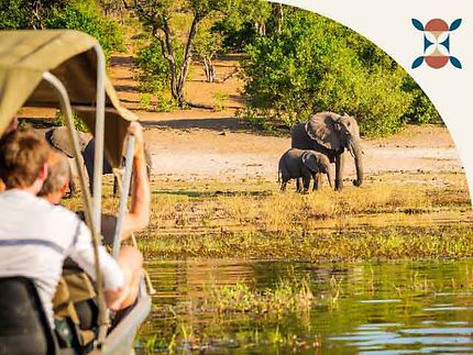Immersion totale au cœur du Botswana