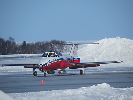 Snowbirds,avion acrobatique de l'armée Canadienne 