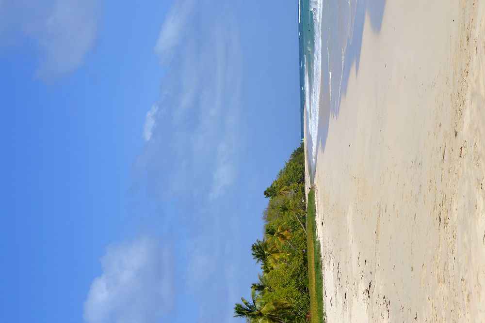 Plage de Martinique