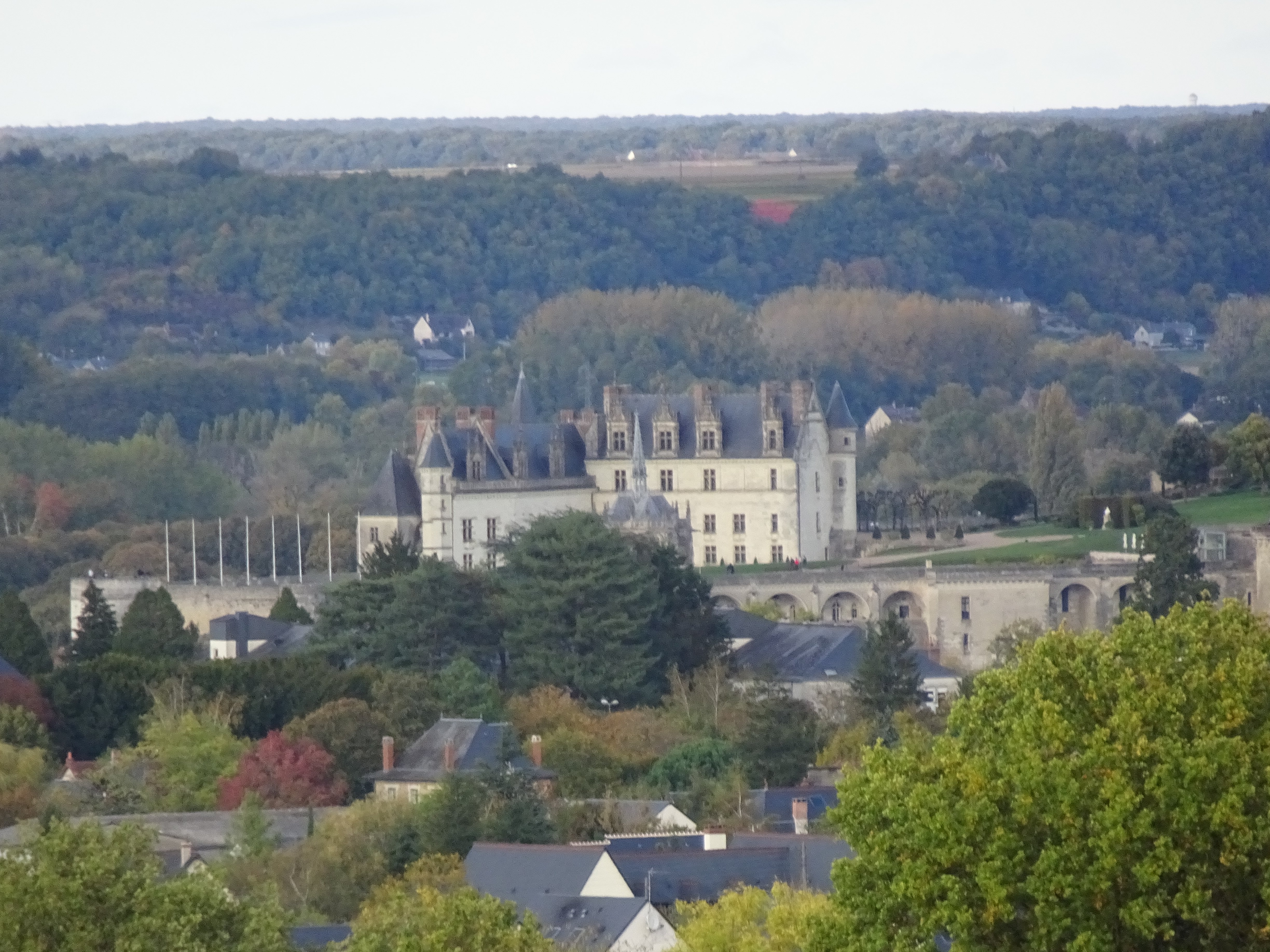 Vue sur le château d'Amboise Vue sur le château d'Amboise