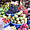 Etalage de fruits au marché de Denpasar