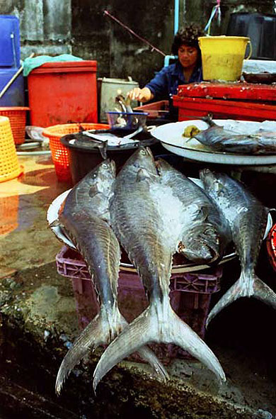 Marché de chumphon Marché de chumphon