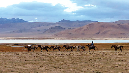 Chevauchée au Ladakh
