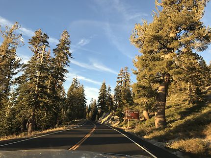 Sur les routes américaines, en pleine nature