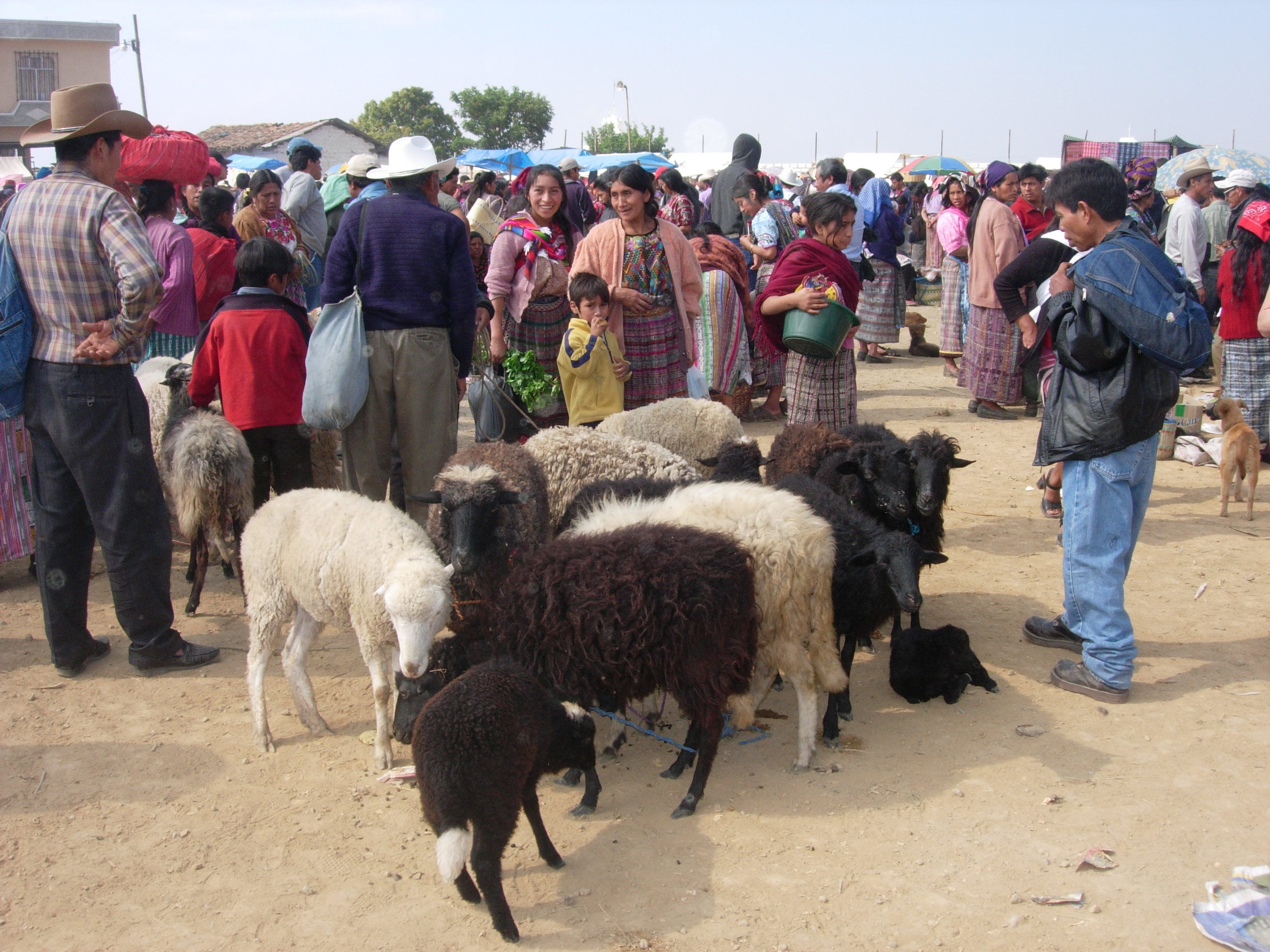 Marché aux bestiaux de San Francisco El Alto